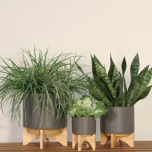 5" Planter with  Wood Stand