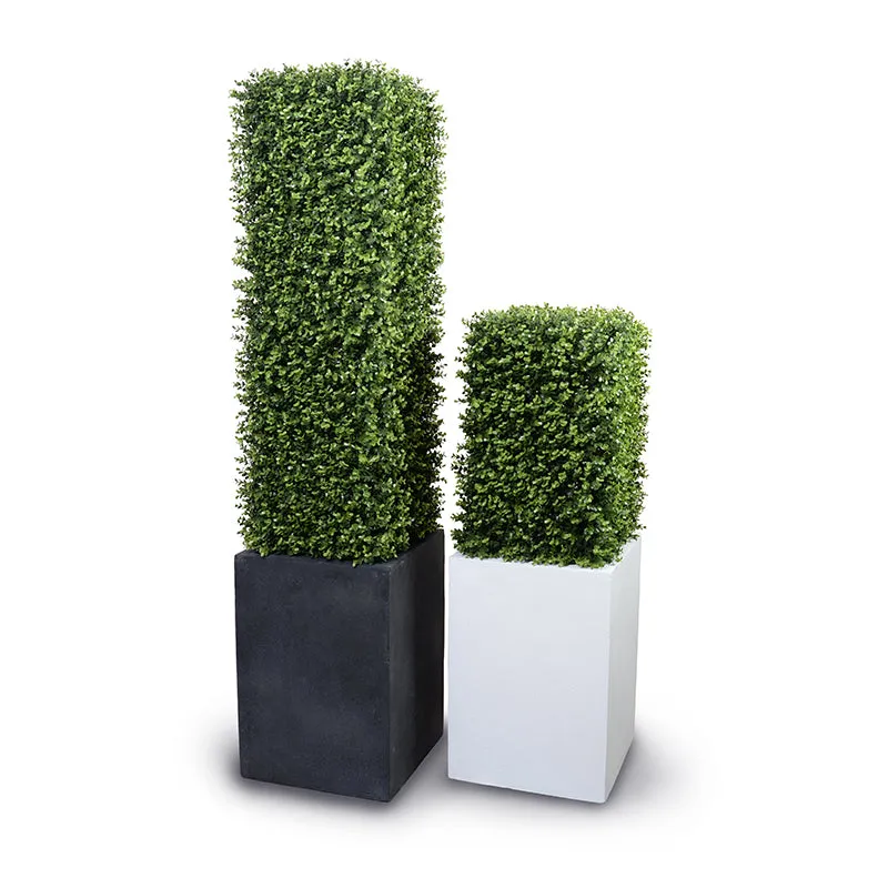 Boxwood Column 42"H