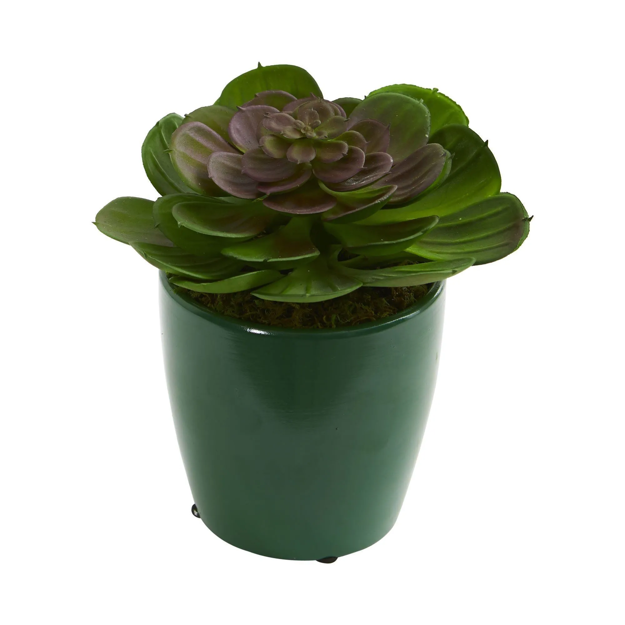 Echeveria Succulent Artificial Plant in Green Planter (Set of 2)