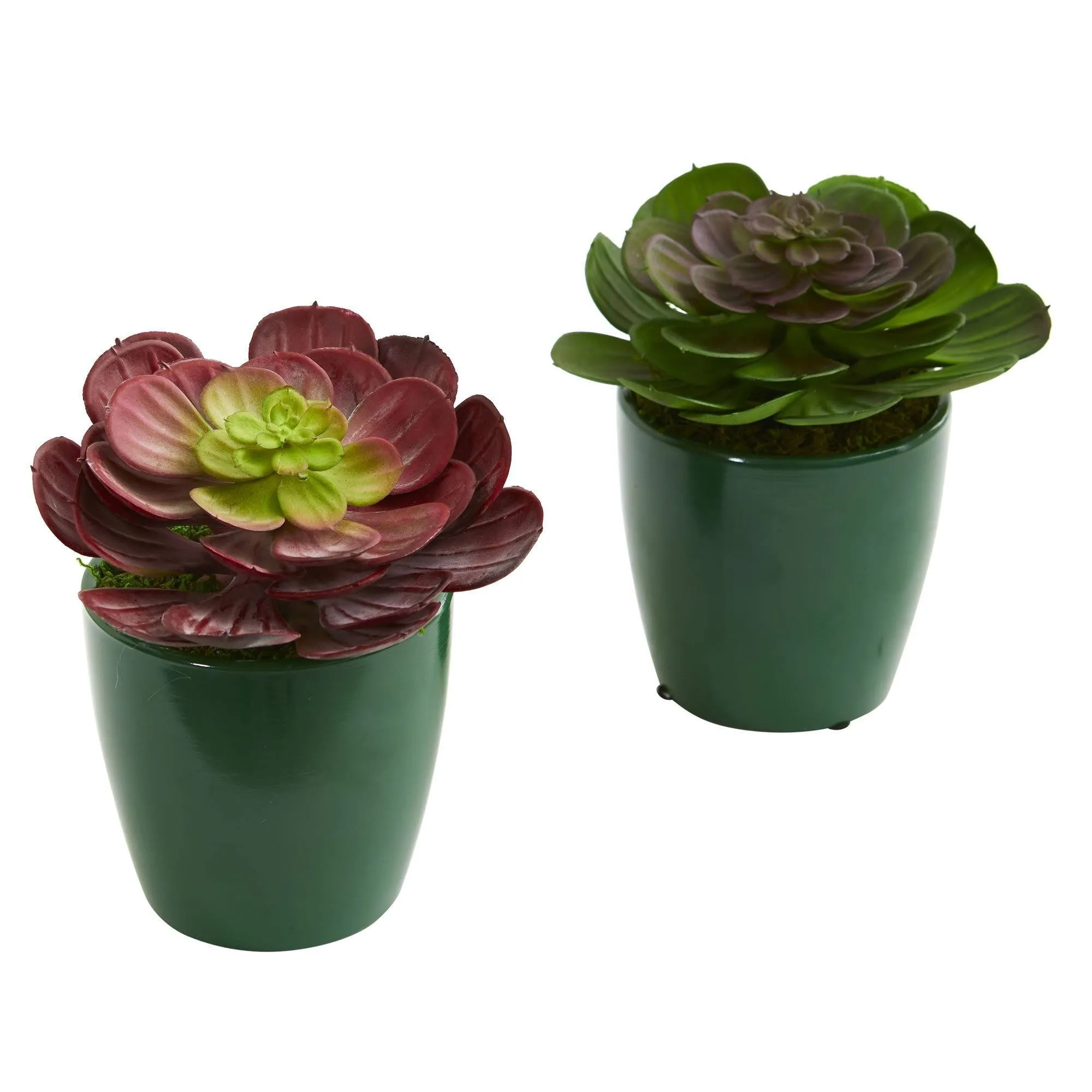 Echeveria Succulent Artificial Plant in Green Planter (Set of 2)