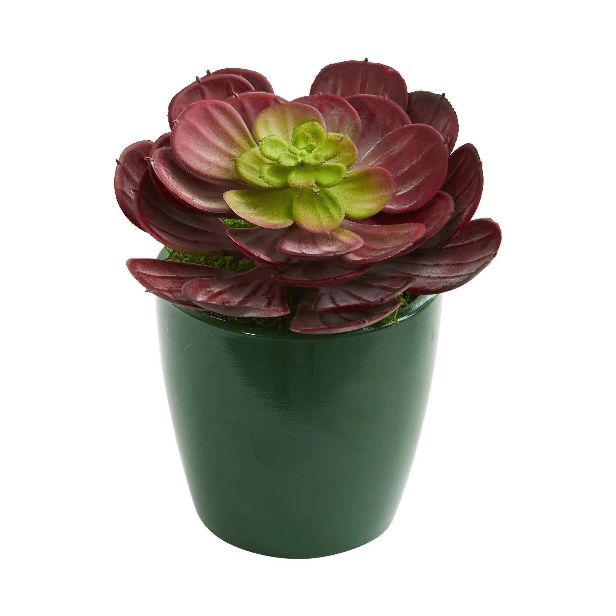 Echeveria Succulent Artificial Plant in Green Planter (Set of 2)