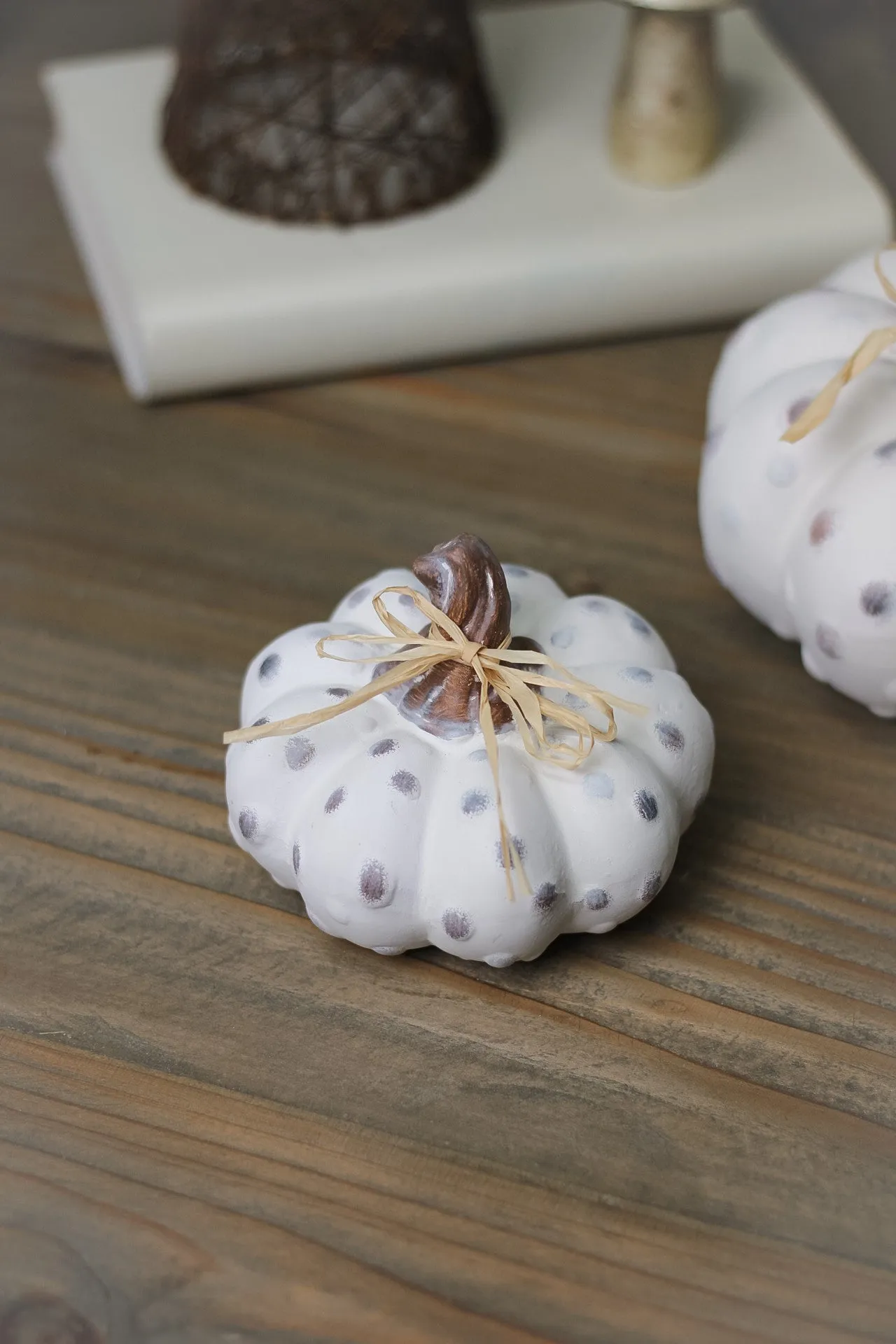 Fairytale Rustic Dotty Pumpkins