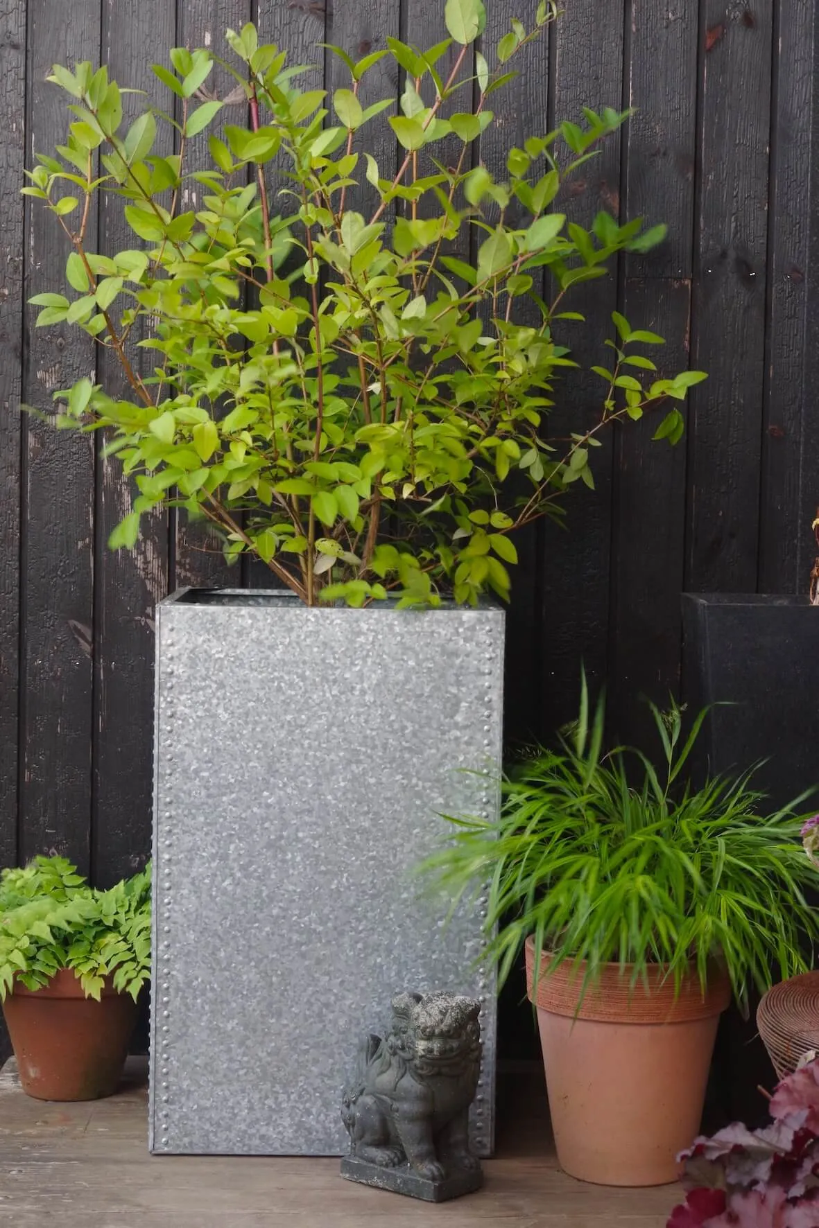 Galvanised Water Tank Planter - Extra Large