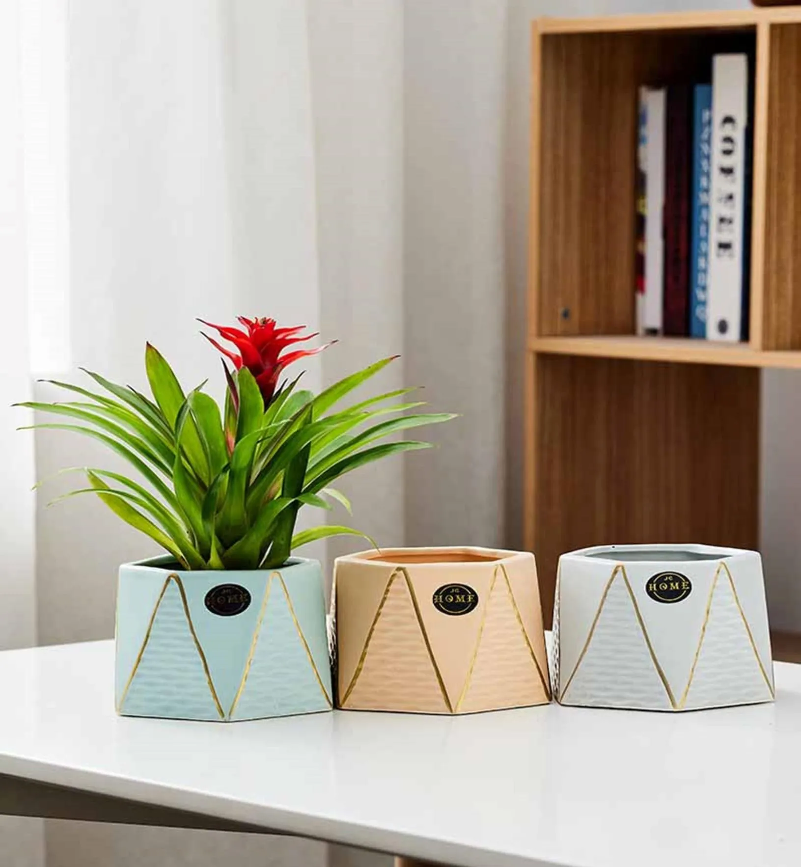 Hexa Glow Pastel Geometric Indoor Planters – Stylish Hexagonal Vases