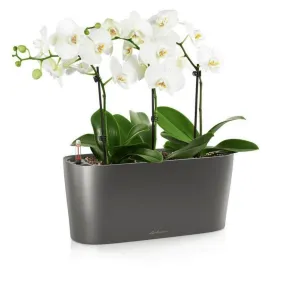 Lechuza Delta Planter