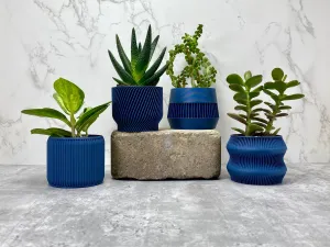 Navy Blue Succulent Set - Pack of 4