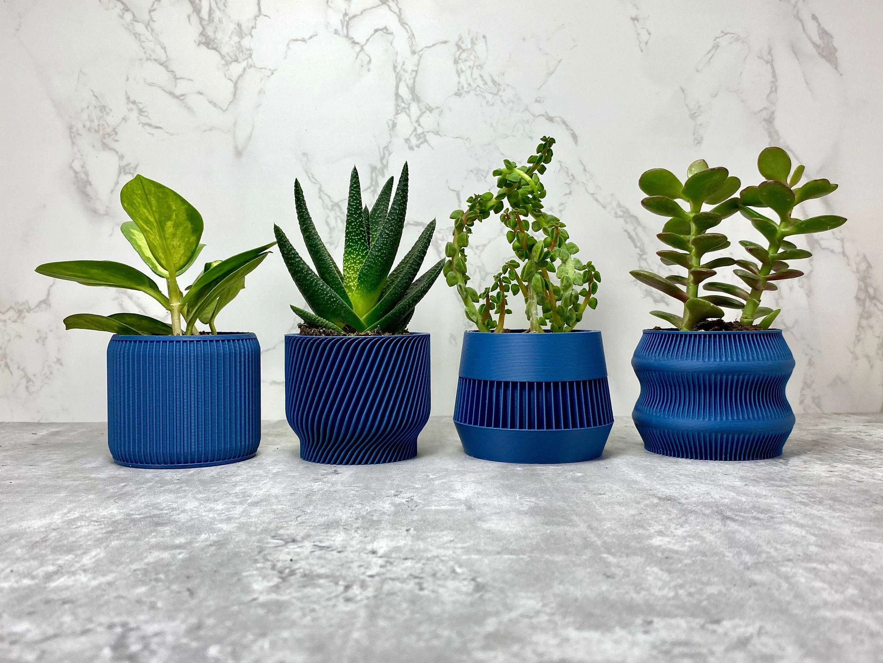 Navy Blue Succulent Set - Pack of 4