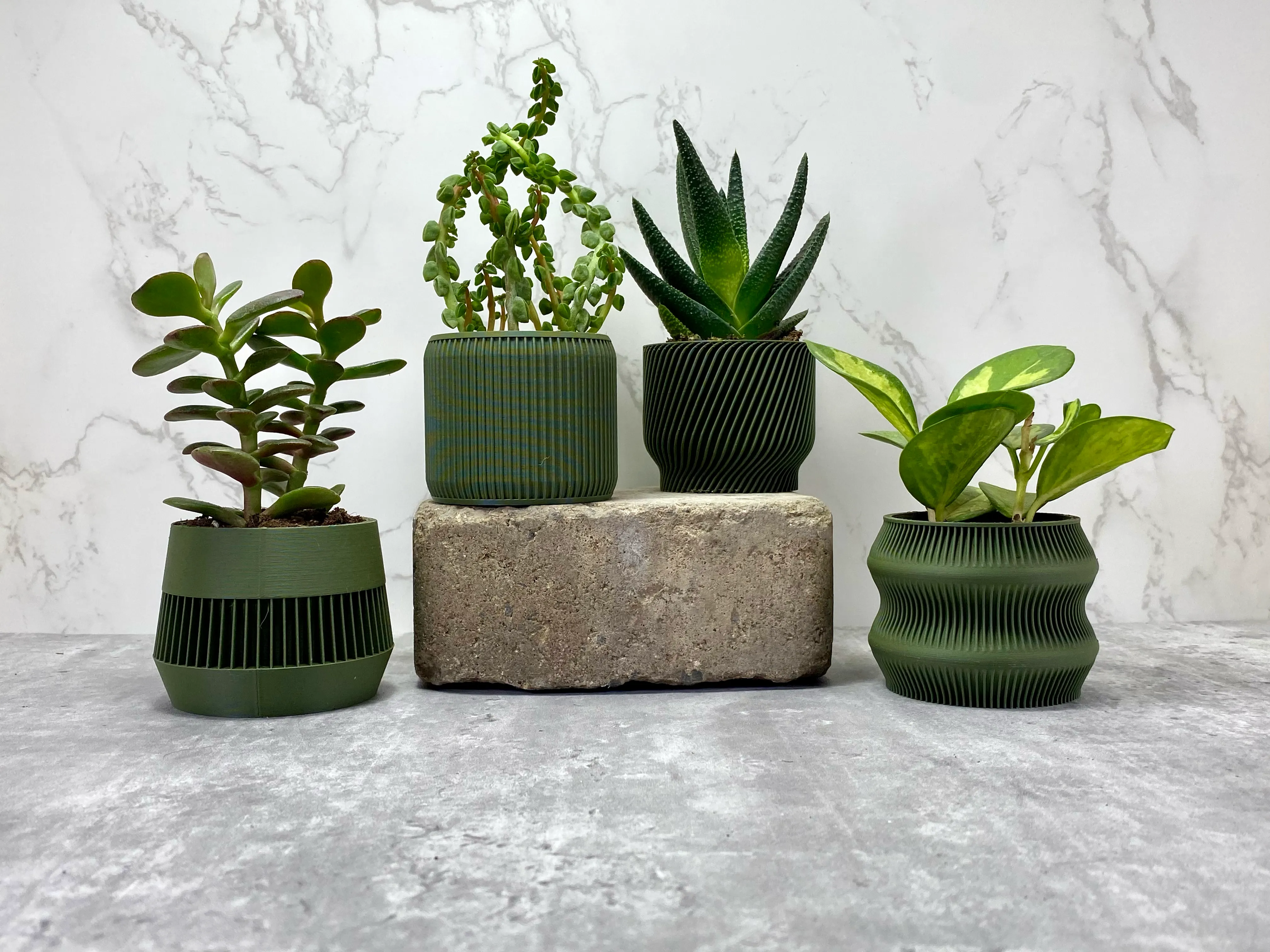 Olive Green Succulent Set - Pack of 4