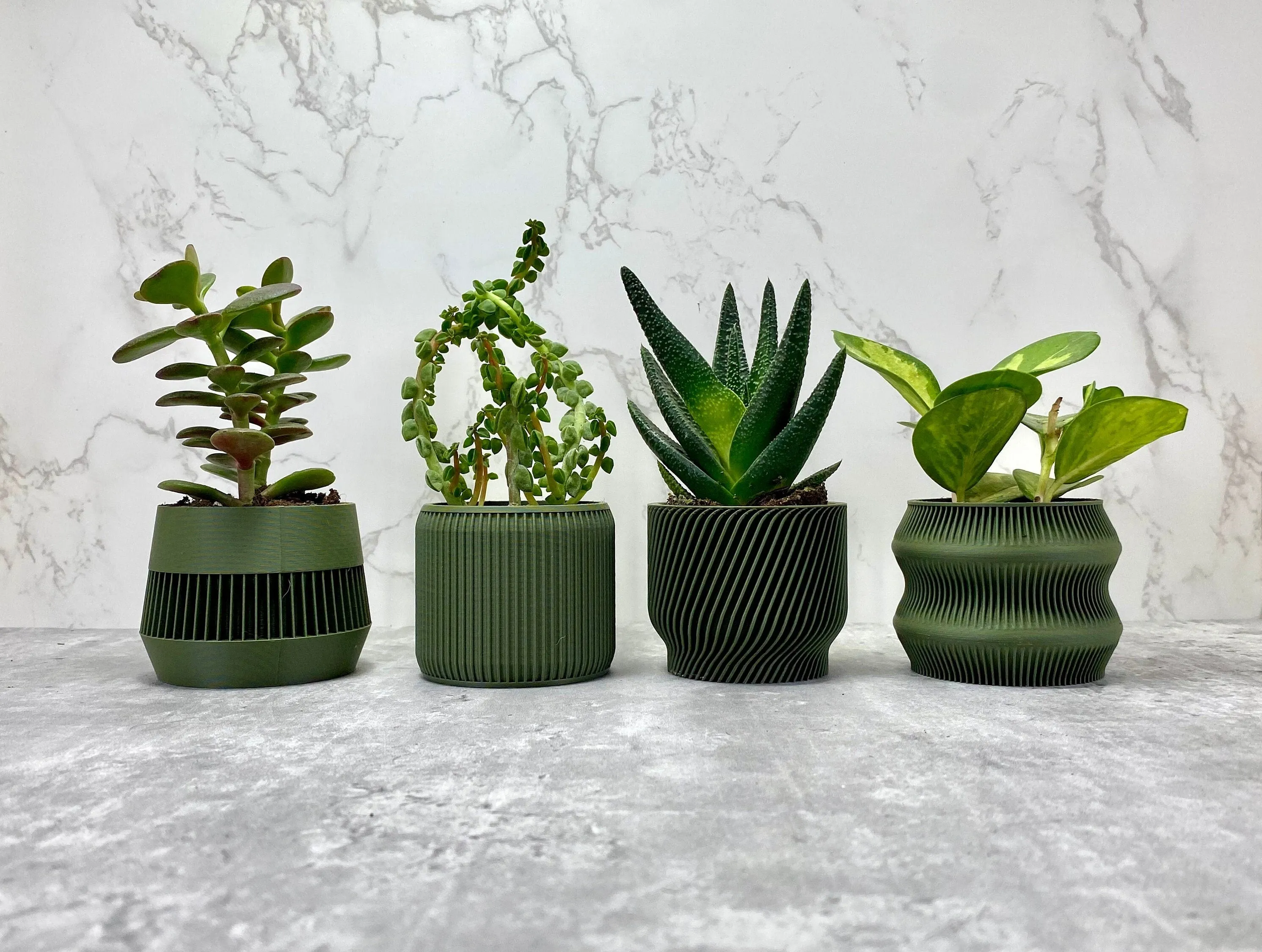 Olive Green Succulent Set - Pack of 4