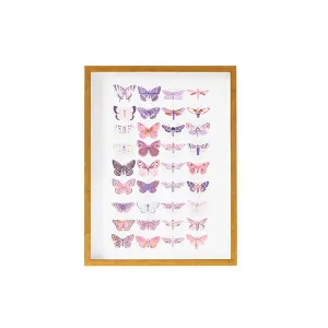 Vintage Butterflies